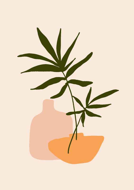 草莓视频污污污